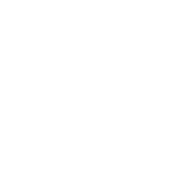 H3 VINTAGE